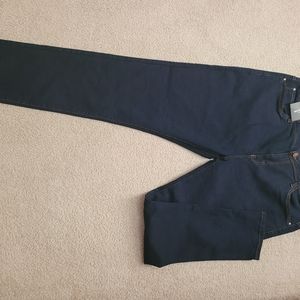 Pretty little things dark denim size 2x